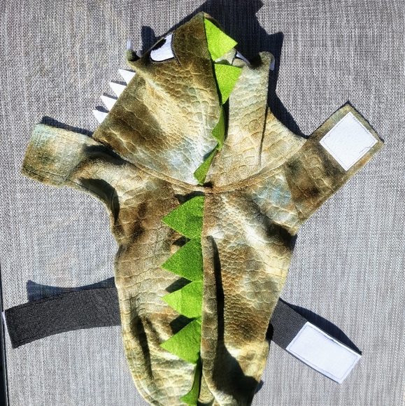 Dinosaur costume for dog - Picture 4 of 6